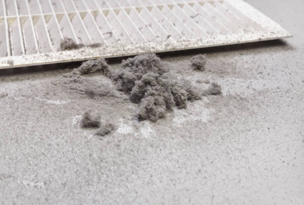 Best Residential Air Duct Cleaning  in Orland Park, IL