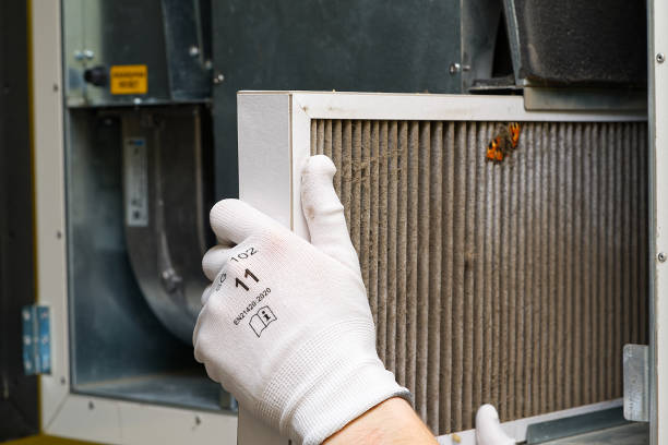Best Air Vent Cleaning Services  in Orland Park, IL