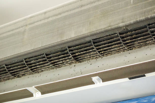 Best Air Duct Cleaning Near Me  in Orland Park, IL