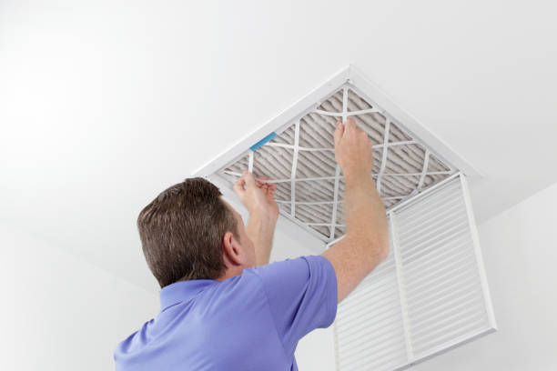 Best Air Duct Mold Removal  in Orland Park, IL